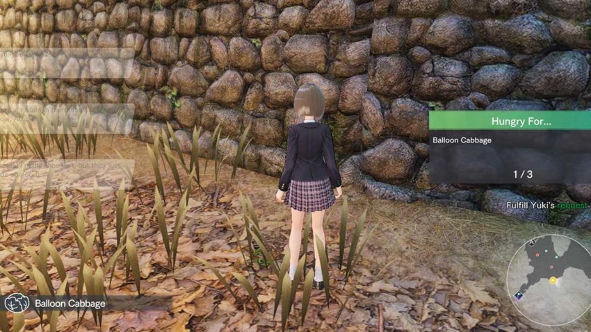 finding-balloon-cabbage-blue-reflection-second-light