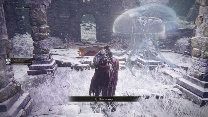 Screenshot of Elden Ring showing two Jellyfish siblings reuniting