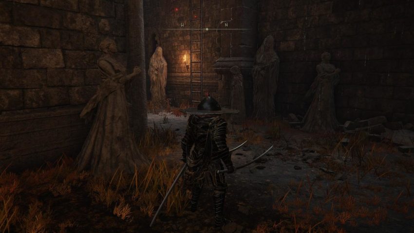 Screenshot of Elden Ring showing a ladder to climb in the Shaded Castle