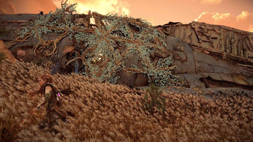 the-promontory-black-box-horizon-forbidden-west