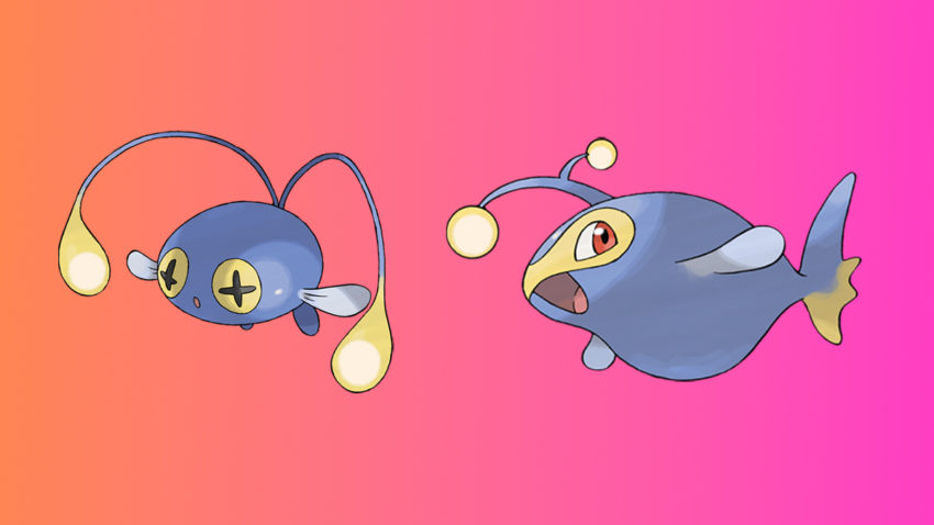 Chinchou / Lanturn water-type fish