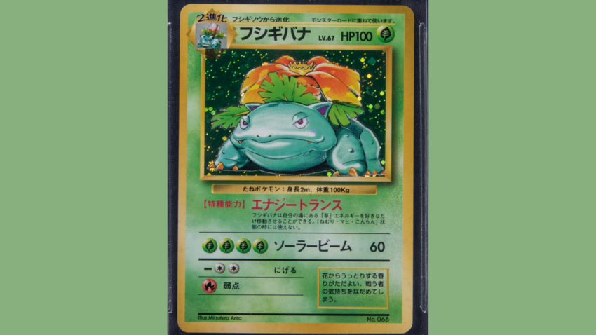 venusaur-no-rarity-symbol-valuable-starter-pokemon-cards