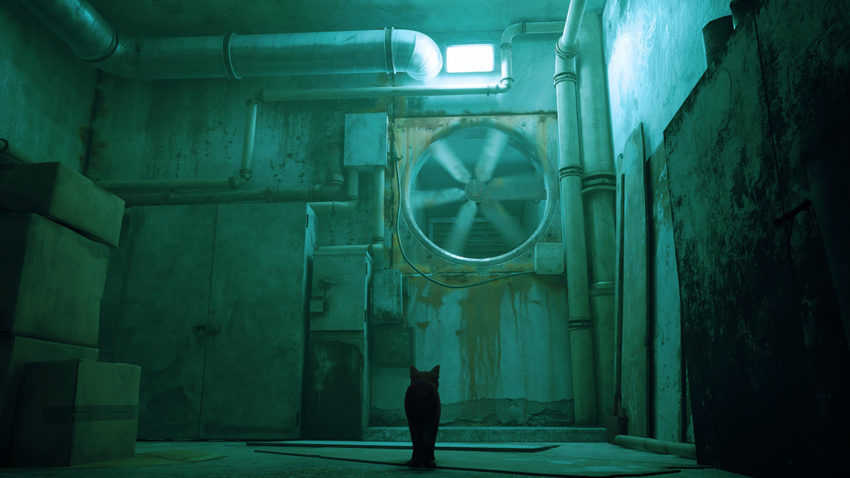 second-fan-in-the-dead-city-stray