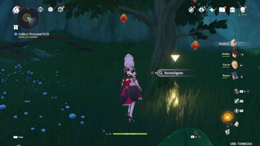 Any advice on how to complete the Into the Woods quest in