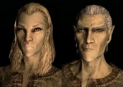 Skyrim's female and male high elf known as Altmer 
