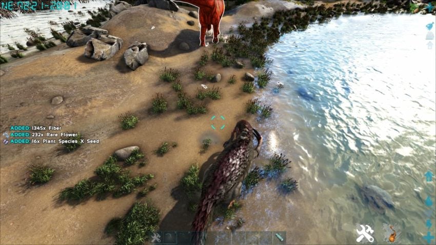 How To Find Rare Flowers In Ark