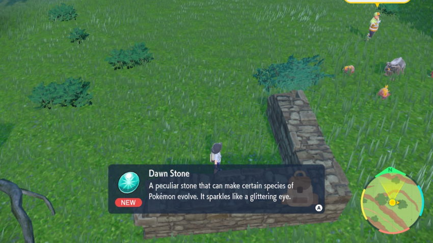 Where to find a Dawn Stone in Pokemon Scarlet & Violet - Dexerto